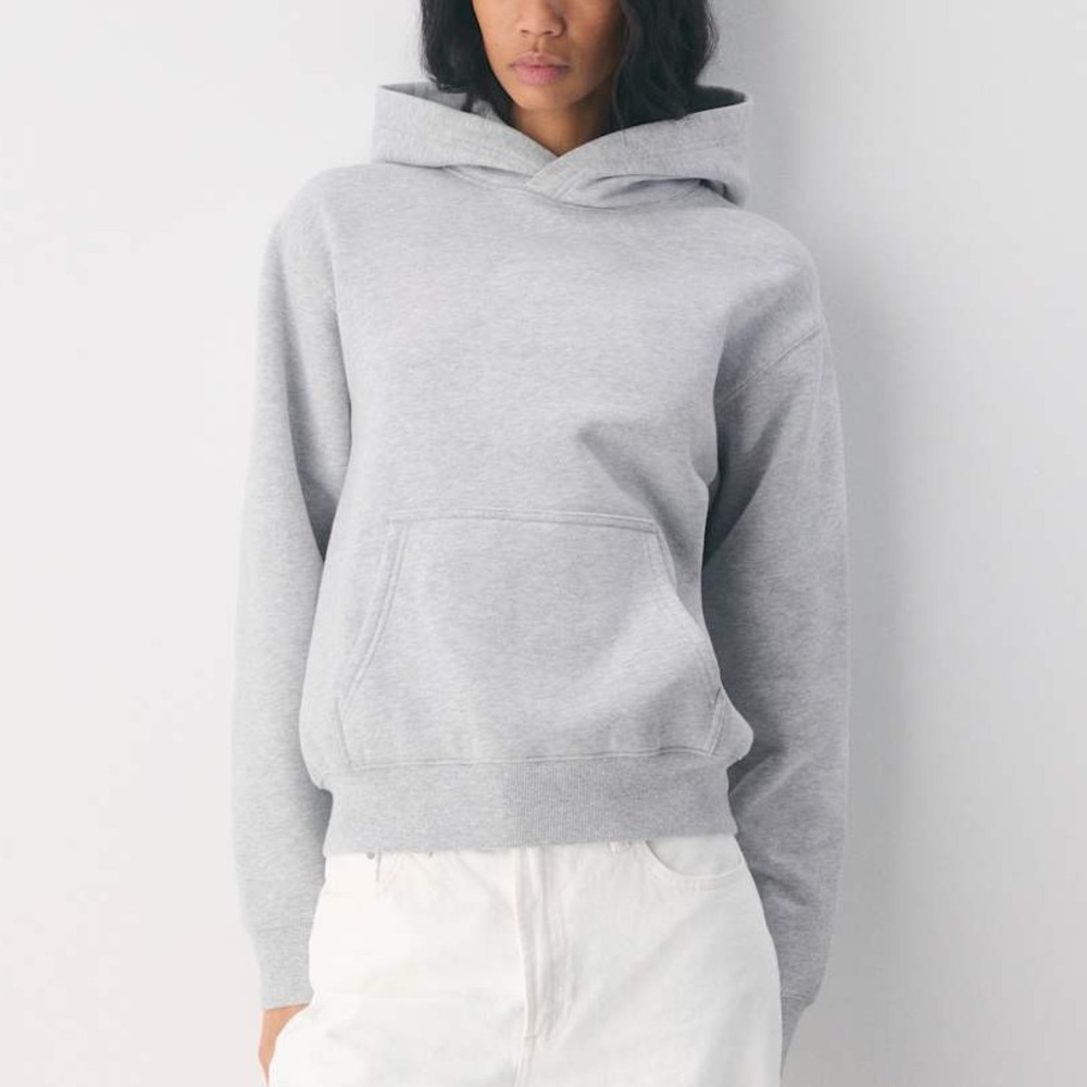 Aritzia Cozy Sweatfleece Perfect Hoodie